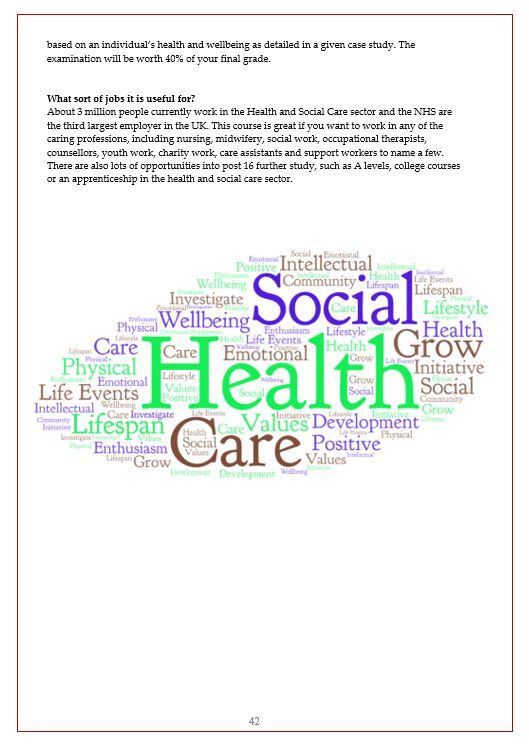 Health and Social Care Curriculum Information Page 2